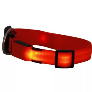 LED dog collar