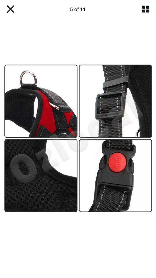 Dog Harness - Image 2
